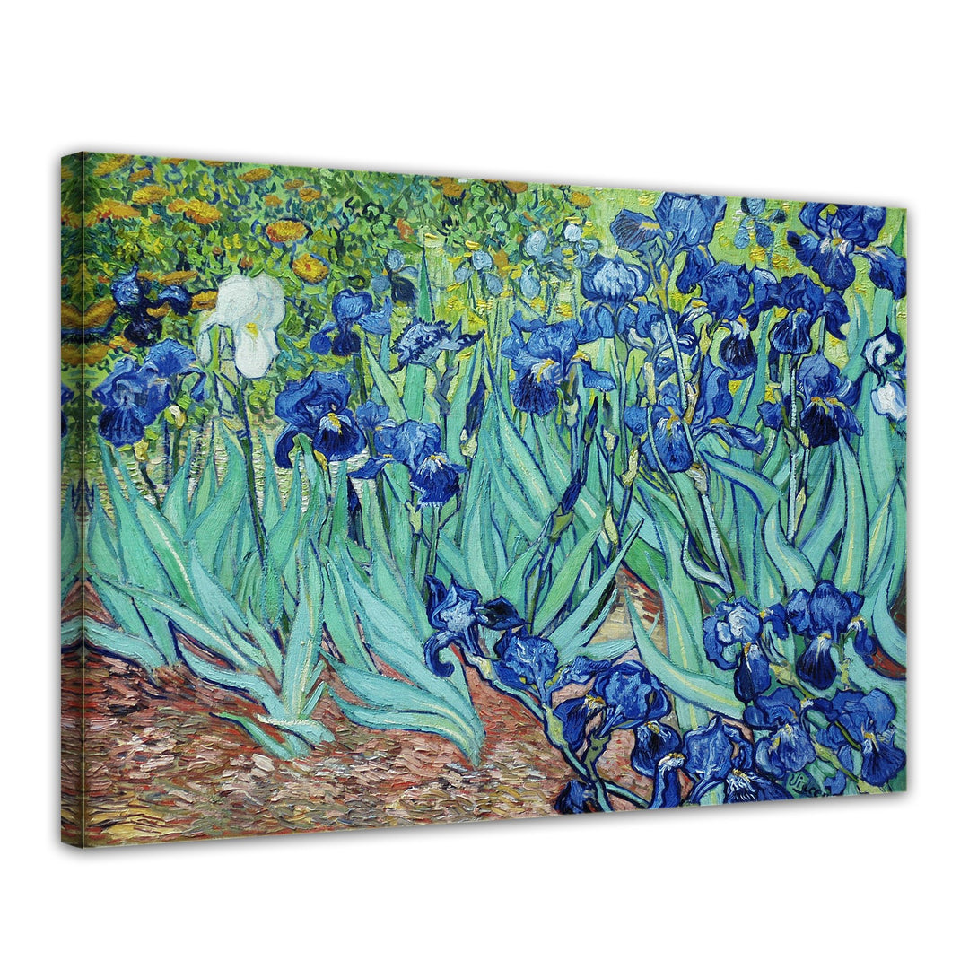 Bilderdepot24 Bild auf Leinwand | Vincent van Gogh Iris in 70x50 cm als Wandbild | Wand-deko Dekorat
