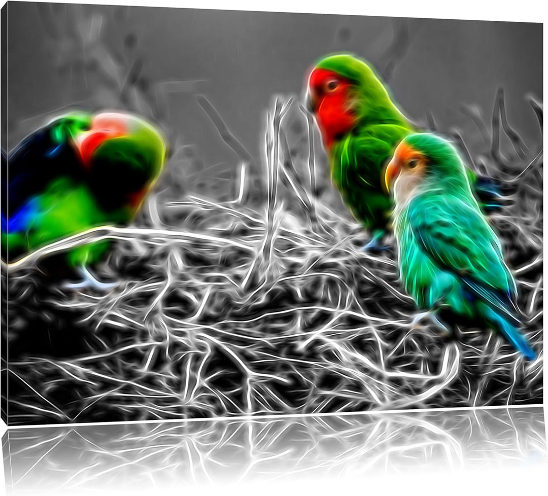 kleine süsse Papageien im Nest schwarz/weiss Deluxe Format: 100x70 cm auf Leinwand, XXL riesige Bild