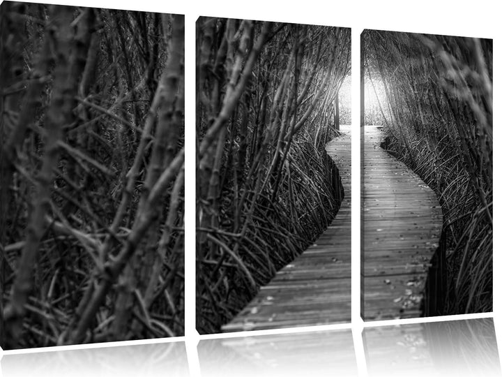 Pixxprint Gehweg im Wald Kunst B&W / 3-Teilig/Gesamtmass 120cm Leinwandbild bespannt auf Holzrahmen/