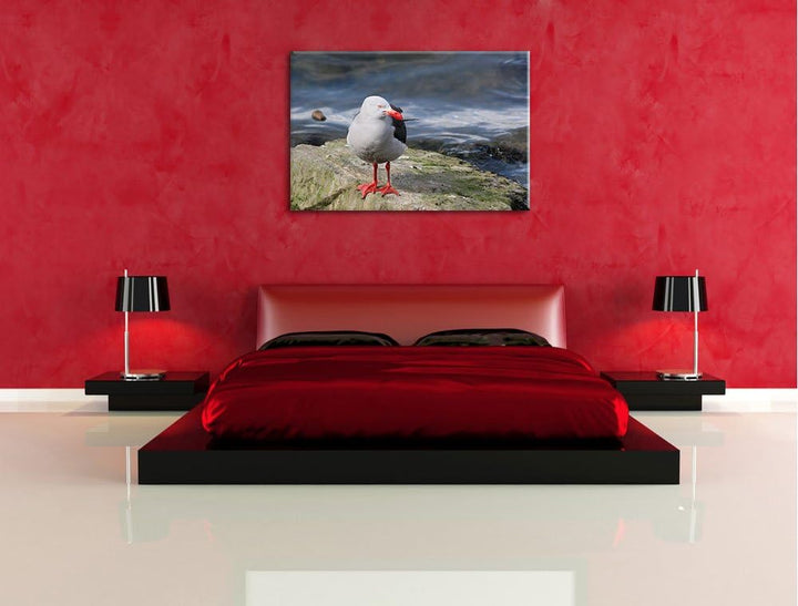 kleine Möwe auf Felsbrocken Leinwand, XXL riesige Bilder fertig gerahmt mit Keilrahmen, Kunstdruck a