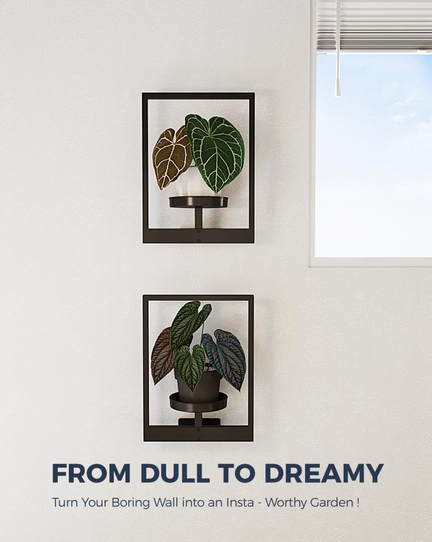 Bamworld Wandbehang Pflanzgefässe für Zimmerpflanzen 2 Set Wand Blumenständer Moderner Pflanzenständ