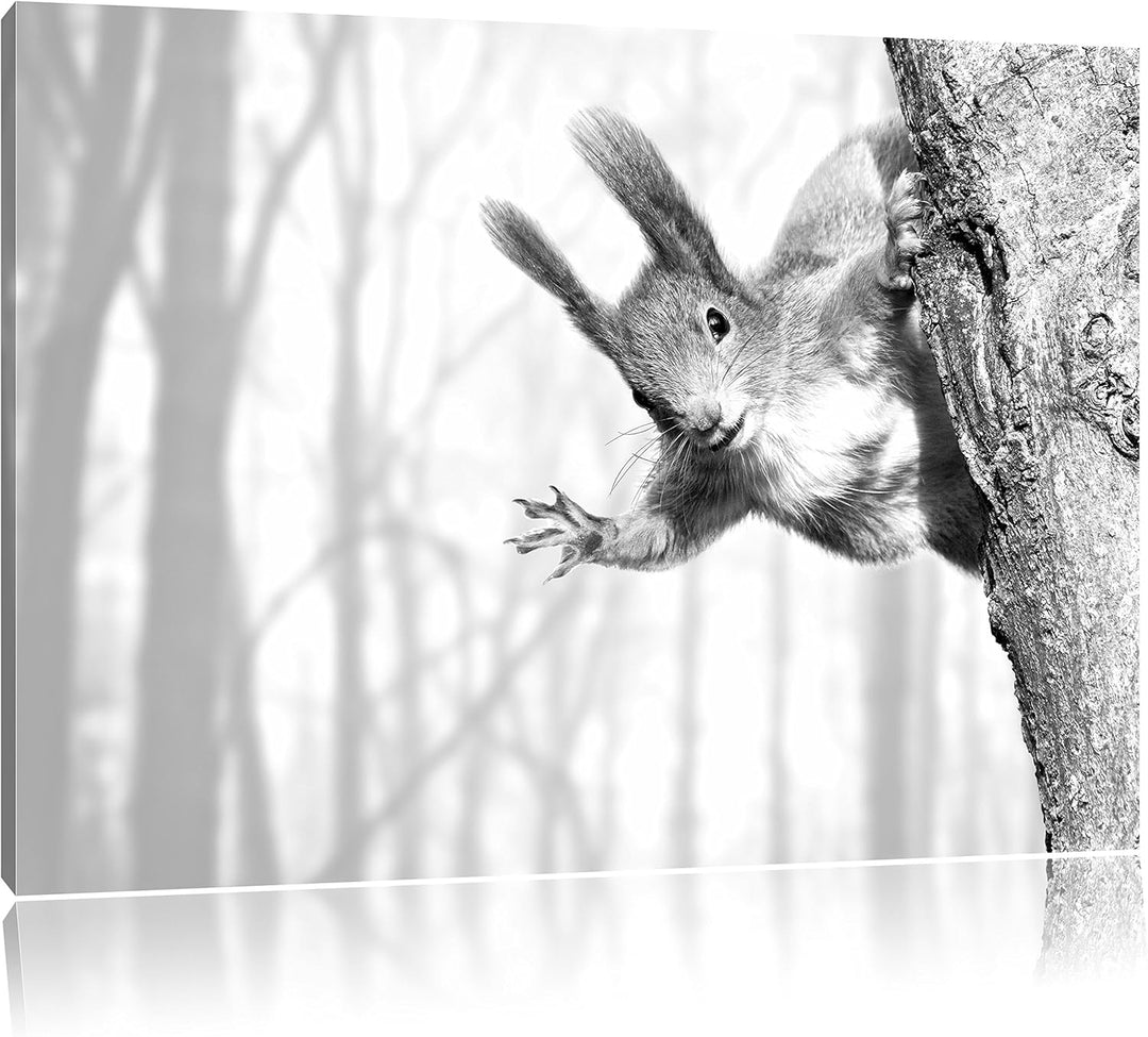 Pixxprint Eichhörnchen als Leinwandbild/Grösse: 100x70 cm/Wandbild/Kunstdruck/fertig bespannt, 100x7