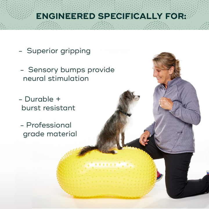 FitPAWS traxpeanut Zubehör Education für Hunde 40 cm 40cm, 40cm