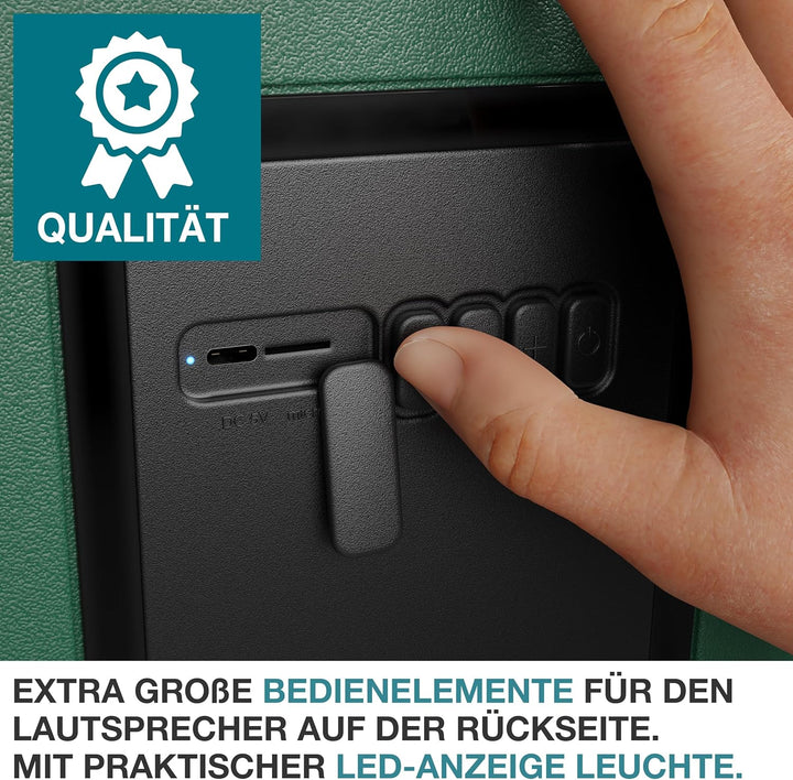TOM 3in1 Musik Kühlbox 21l zum Kühlen, Warmhalten und Musik hören – mit Bluetooth Lautsprecher – Küh