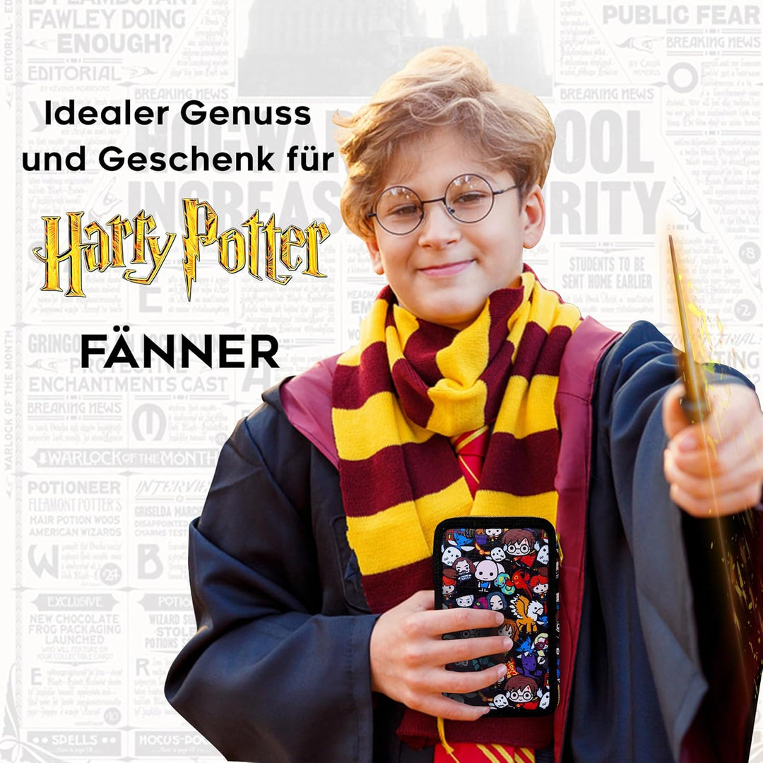 Harry Potter Federmäppchen, Kollektion von Schule Zubehör, Polyester Etui, 1 Stück Federpenal, 2-Fac