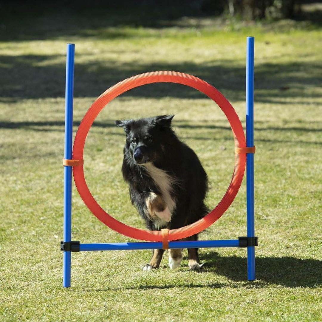 NATIV grosser Sprungring für Hunde, Durchmesser 70cm, höhenverstellbar, mit Tragetasche