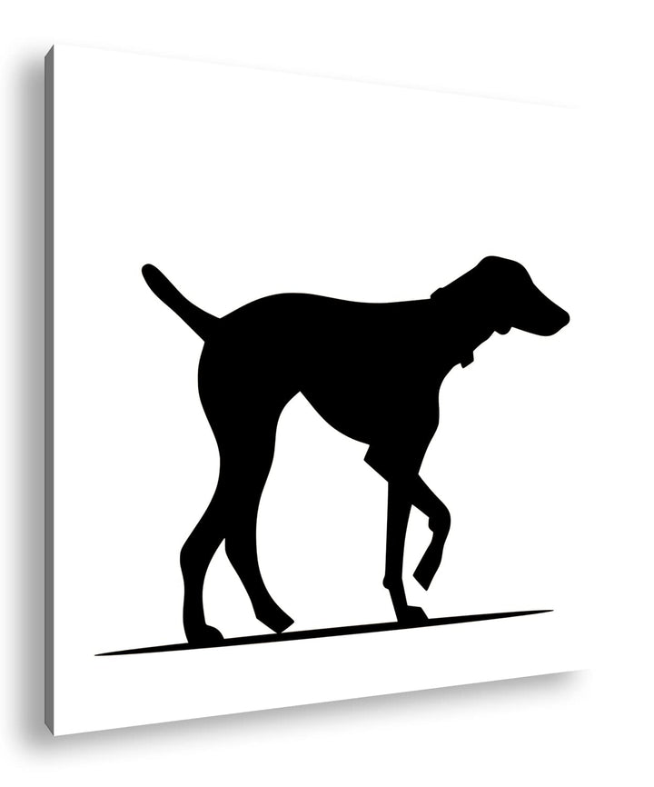 Hund beim spazieren Effekt: Sepia Format: 60x60 als Leinwandbild, Motiv fertig gerahmt auf Echtholzr
