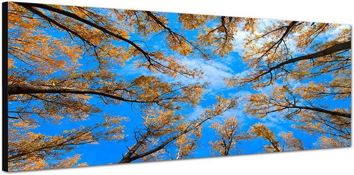 Paul Sinus Art Panoramabild auf Leinwand und Keilrahmen 150x50cm Baumkronen Wald Herbst Himmel