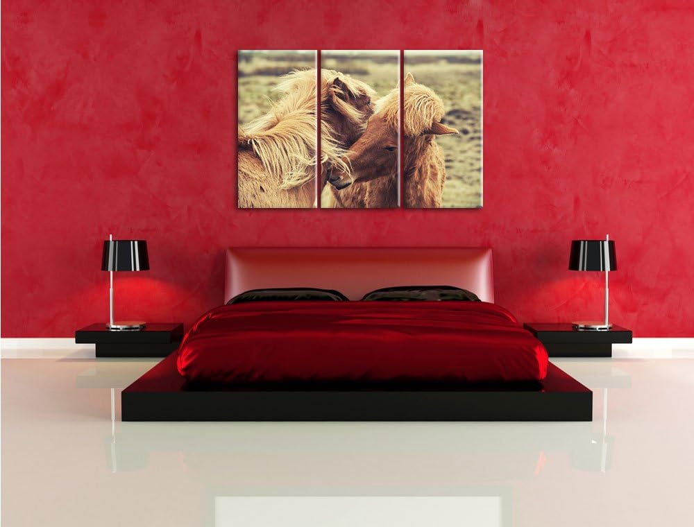 Pixxprint Islandpferde Pony als Leinwandbild | Grösse: 3 Teilig (120x80) | Wandbild| Kunstdruck | fe