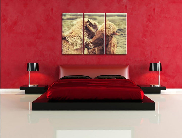 Pixxprint Islandpferde Pony als Leinwandbild | Grösse: 3 Teilig (120x80) | Wandbild| Kunstdruck | fe