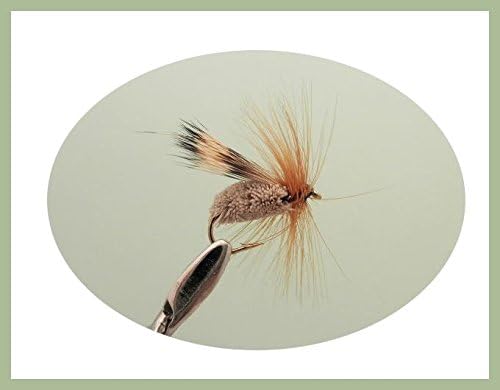 Sedge Forellenfliegen, 24 Stück, verschiedene Grössen, Schwarz, Silber, Elch, Hirsch