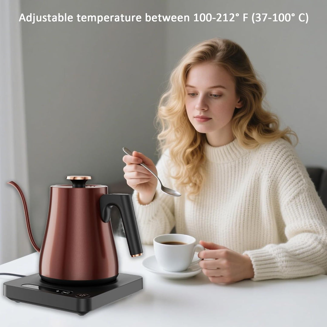 Schwanenhals Wasserkocher mit Temperatureinstellung 1.0L, Wasserkocher Retro Vintage 1000W, 100% Ede