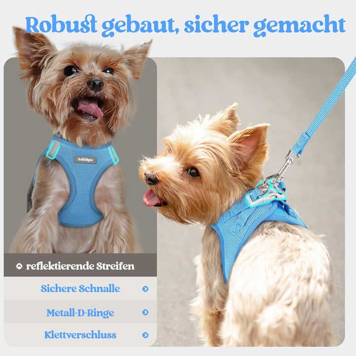 rabbitgoo Hundegeschirr Kleine Hunde mit Leine, Step-in Welpengeschirr Weich Mesh für Spaziergänge,