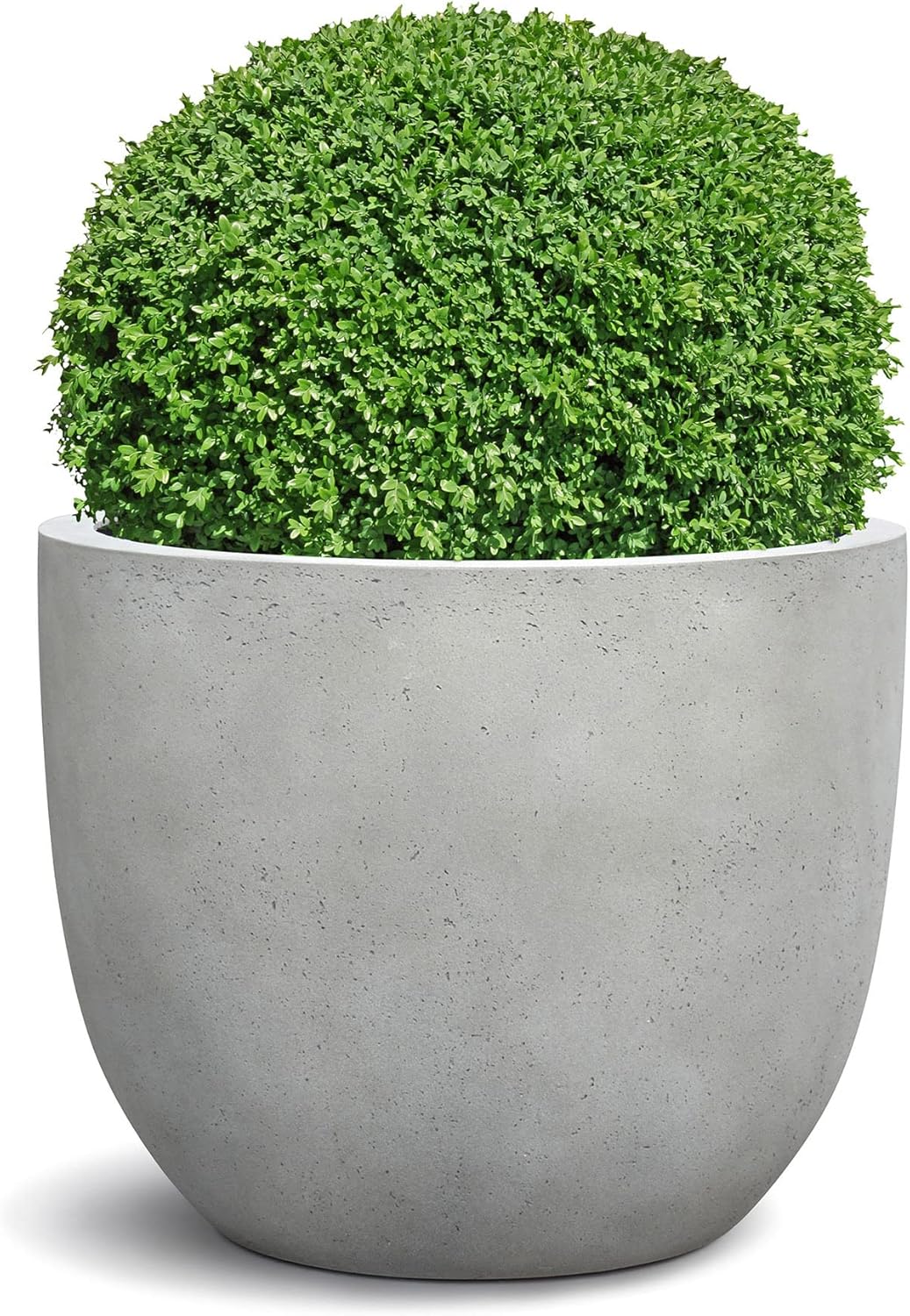 ESCHBACH® Pflanzkübel Egg Pot 50 Beton Hell Grau Rund * 45 x 45 x 38 cm * 10 Jahre Garantie
