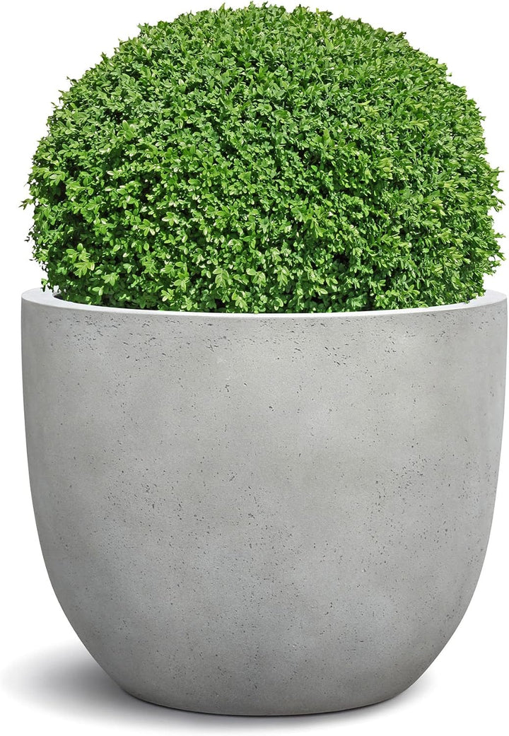 ESCHBACH® Pflanzkübel Egg Pot 50 Beton Hell Grau Rund * 45 x 45 x 38 cm * 10 Jahre Garantie