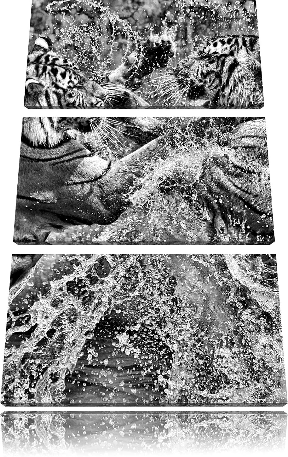 Pixxprint Kämpfende Tiger im Wasser als Leinwandbild/Grösse: 3 Teilig (120x80) cm/Wandbild/Kunstdruc