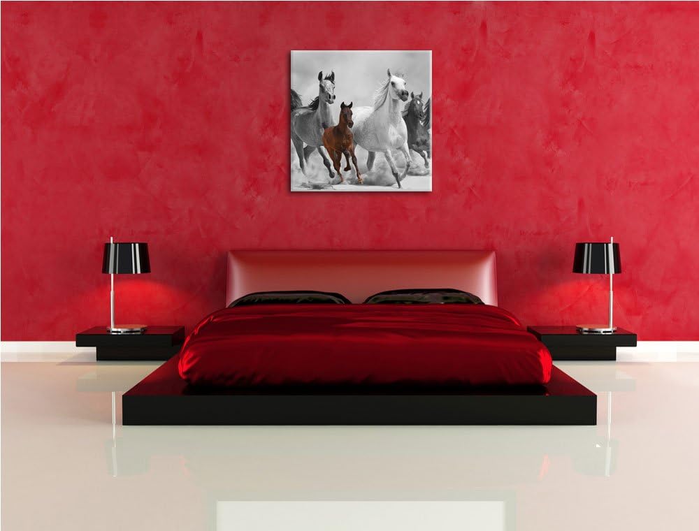 Pixxprint Mustangs in der Wüste mit Fohlen als Leinwandbild Quadratisch/Grösse: 70x70 / Wandbild/Kun