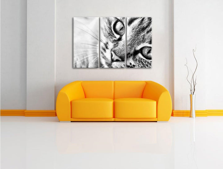 Pixxprint Grosse Katzenaugen als Leinwandbild | Grösse: 3 Teilig (120x80) | Wandbild| Kunstdruck | f