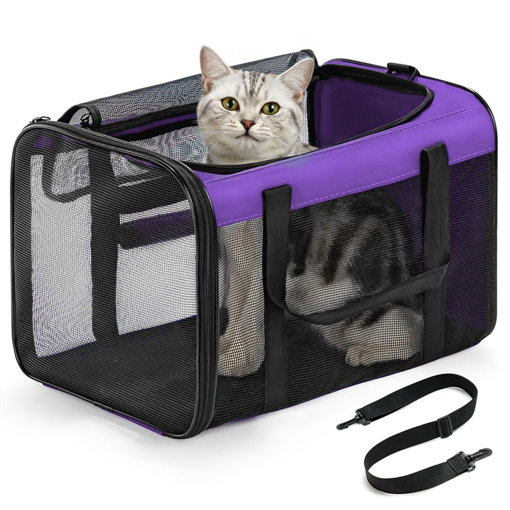 Conlun Katzentransportbox,Weiche Katzentransporttasche mit 4-seitigem Netz, Flugzeugtaugliche Katzen