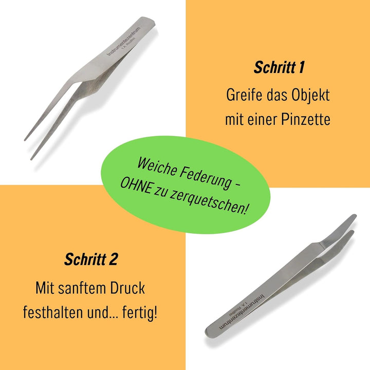 2 Federstahlpinzetten, je 1x spitz und stumpf - Länge 10 cm, Insektenpinzette Laborpinzette