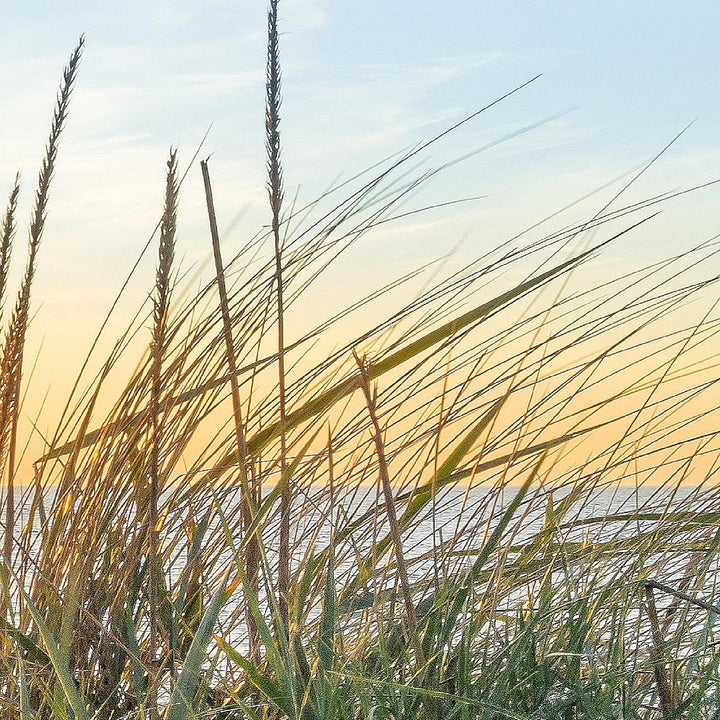 Runa Art Bild Strand Sonnenuntergang Wandbilder auf Vlies Leinwand 5 Teilig Wanddekoration Schlafzim