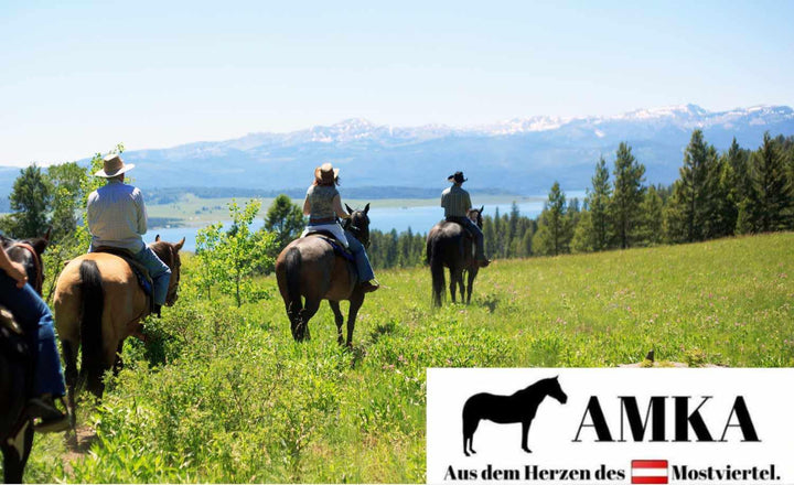 Reitsport Amesbichler Satteltasche für Pferde Packtasche Doppelpacktasche schwarz 013/04D