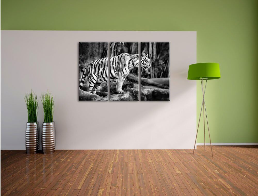 Pixxprint Tiger / 3-Teilig/Gesamtmass 120cm Leinwandbild bespannt auf Holzrahmen/Wandbild Kunstdruck