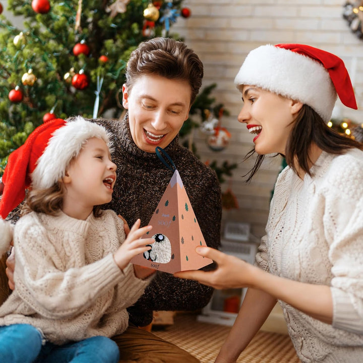 CZMAO 5 Paar Weihnachtssocken mit Geschenkbox, Weihnachten Socken, Weihnachtsmotiv Warm Festlicher B