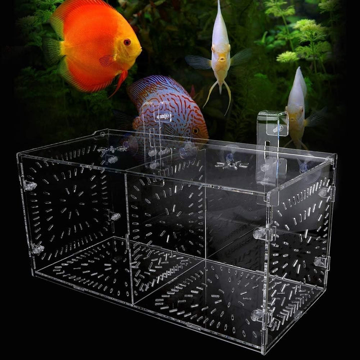Pssopp Aquarium Zuchtbox Fischsämlinge Inkubator Aquarium Isolationsbox Aquarium Brutbrut Fischteile