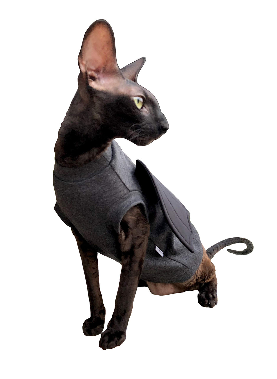 Katzen Kleidung T-Shirt Dragon, XS