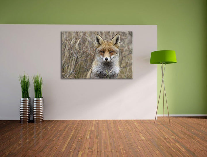 aufmerksamer Fuchs im Geäst Leinwand, XXL riesige Bilder fertig gerahmt mit Keilrahmen, Kunstdruck a