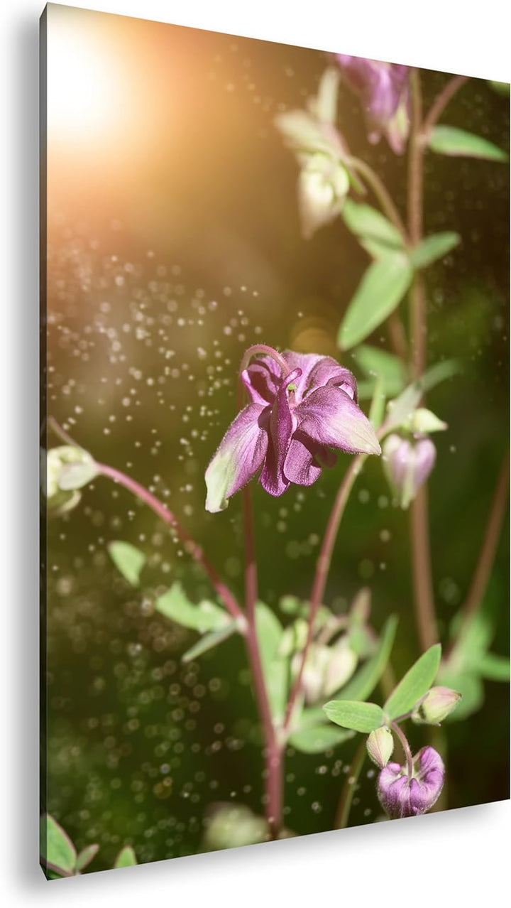 deyoli exotische Wildblume Format: 60x40 als Leinwandbild, Motiv fertig gerahmt auf Echtholzrahmen,