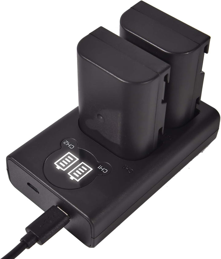 DSTE 2 x DMW-BLF19E Ersatzakku + Dual USB-Ladegerät mit LCD-Display, kompatibel mit DMW-BLF19 und Pa
