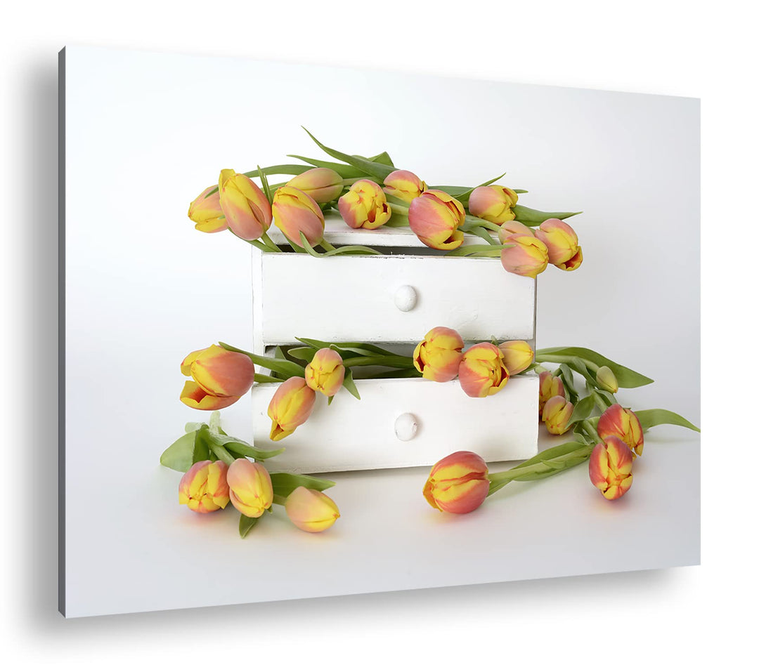deyoli wild verstreute Tulpen Format: 80x60 als Leinwand, Motiv fertig gerahmt auf Echtholzrahmen, H