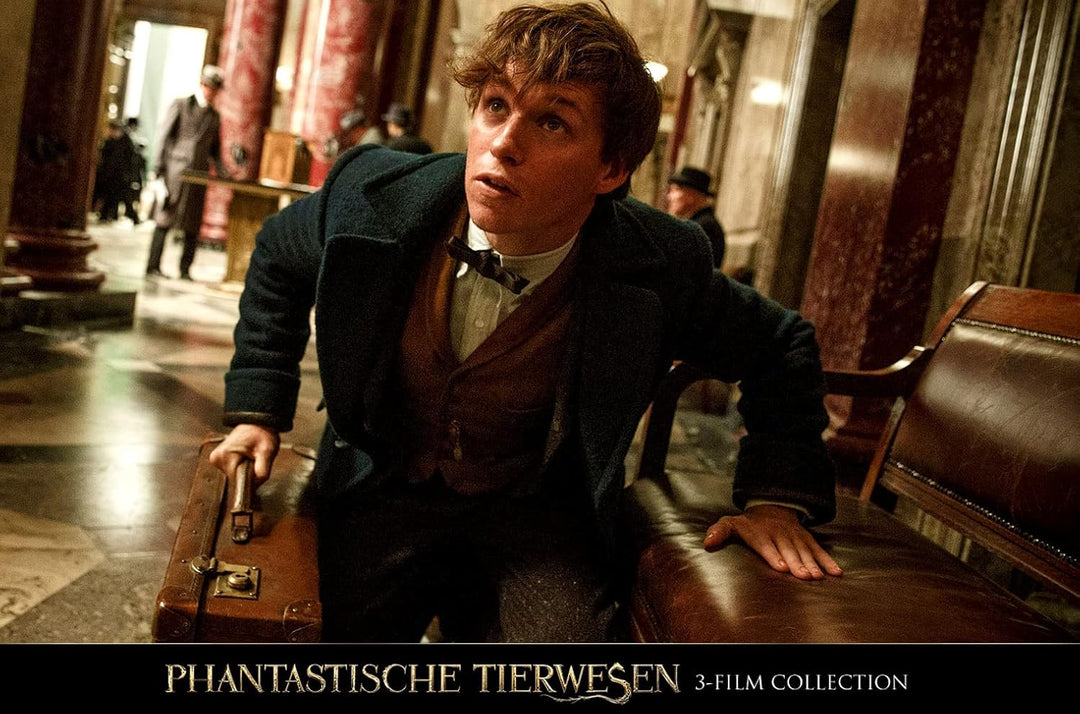 Phantastische Tierwesen 3-Film Collection [3 DVDs], DVD