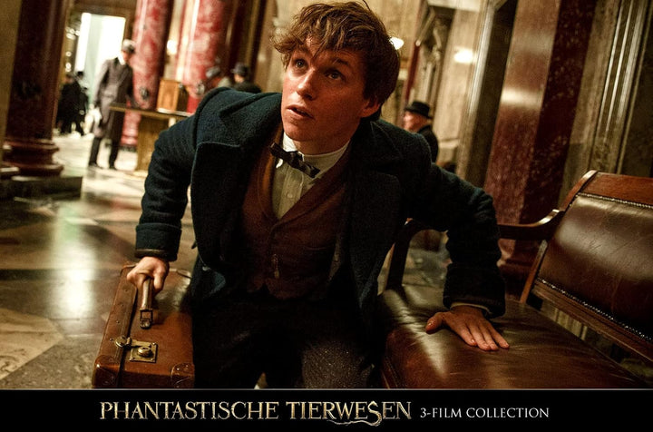 Phantastische Tierwesen 3-Film Collection [3 DVDs], DVD