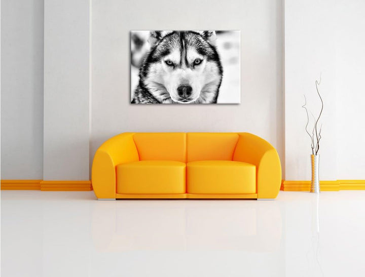 Monocrome, Husky, Format: 100x70 auf Leinwand, XXL riesige Bilder fertig gerahmt mit Keilrahmen, Kun