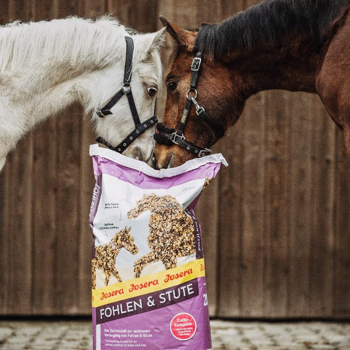 JOSERA Fohlen &amp; Stute (1 x 20 kg) | Premium Pferdefutter | Zuchtmüsli | gehaltvolle Stutenmilch | op