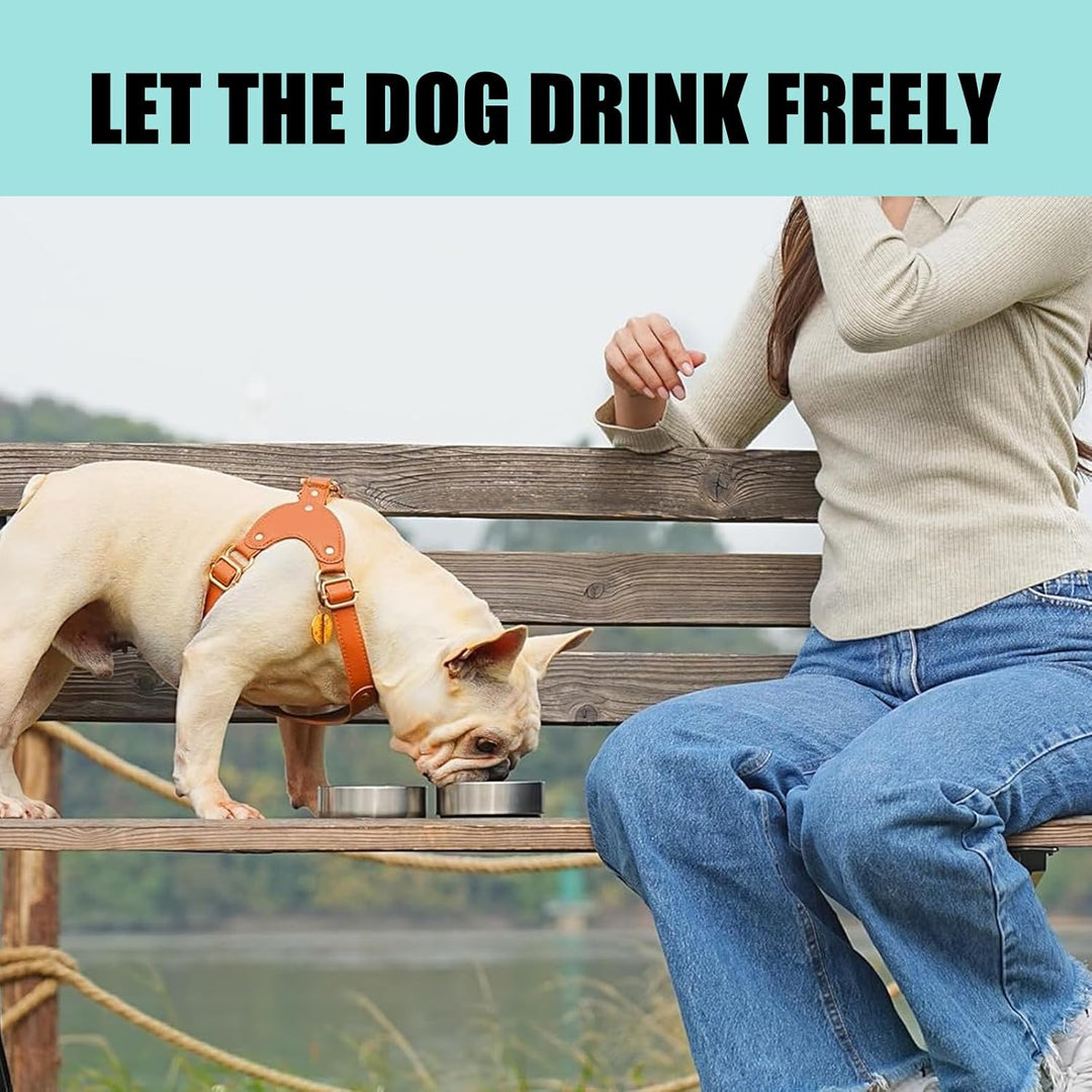 950ML 3 in 1 Hundetrinkflasche für unterwegs, Isolierte Edelstahl Trinkflasche Hunde für unterwegs m