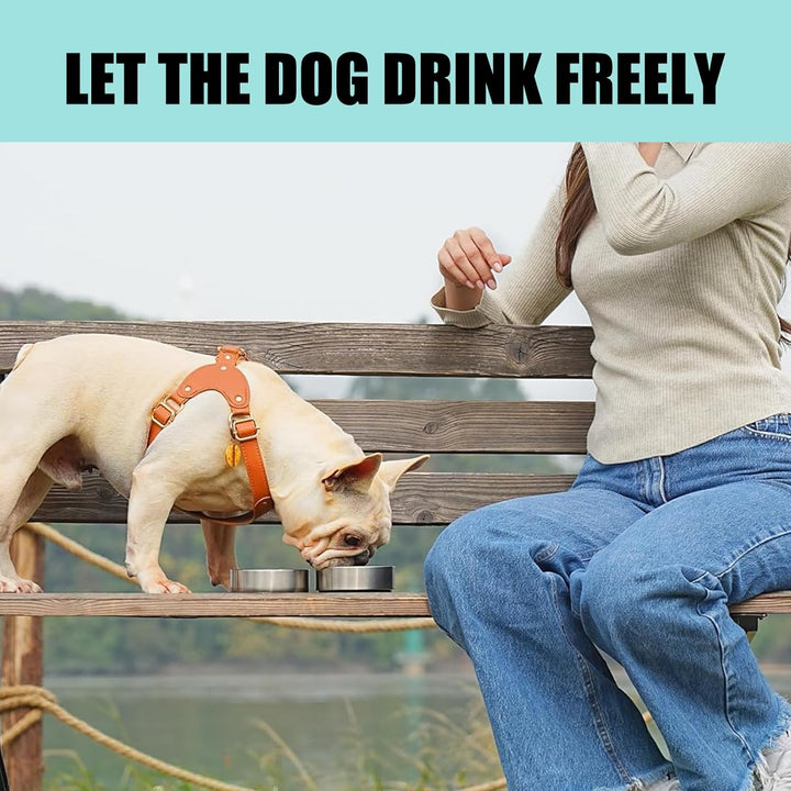 950ML 3 in 1 Hundetrinkflasche für unterwegs, Isolierte Edelstahl Trinkflasche Hunde für unterwegs m