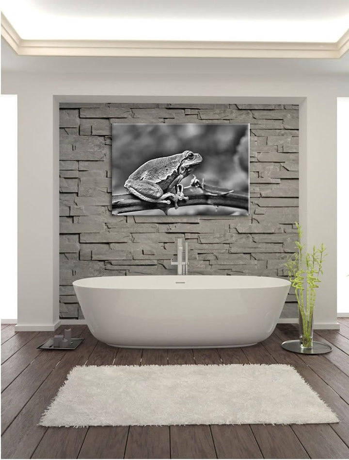 Pixxprint Kleiner Frosch auf Dornenast / 100x70cm Leinwandbild bespannt auf Holzrahmen/Wandbild Kuns