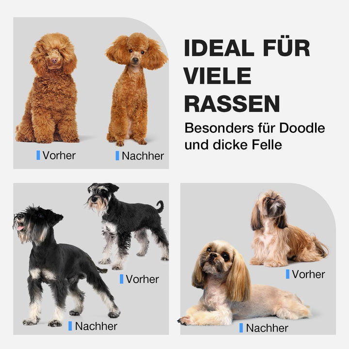 Leise Hundeschermaschine Dichtes Fell, Profi Schermaschine Hund aus Edelstahl,Professionelle Hunde H