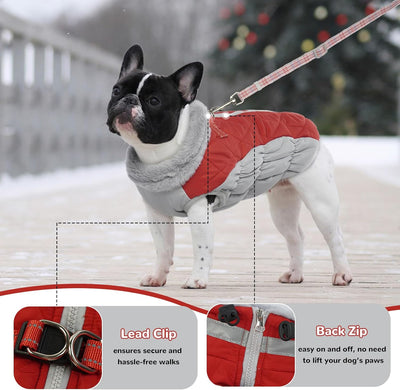 Hjumarayan Hundemantel für Kleine Hunde - Hundemantel Winter Hundemantel mit Geschirr Wintermantel H