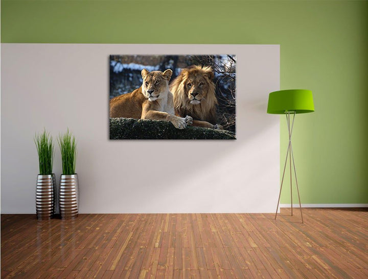 interessiertes Löwenpaar, Format: 100x70 auf Leinwand, XXL riesige Bilder fertig gerahmt mit Keilrah