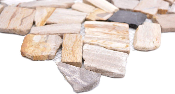 Mosaik Fliese Bruch/Ciot mix Fossil für WAND KÜCHE Wandverblender Fliesenspiegel Verkleidung | 10 Ma