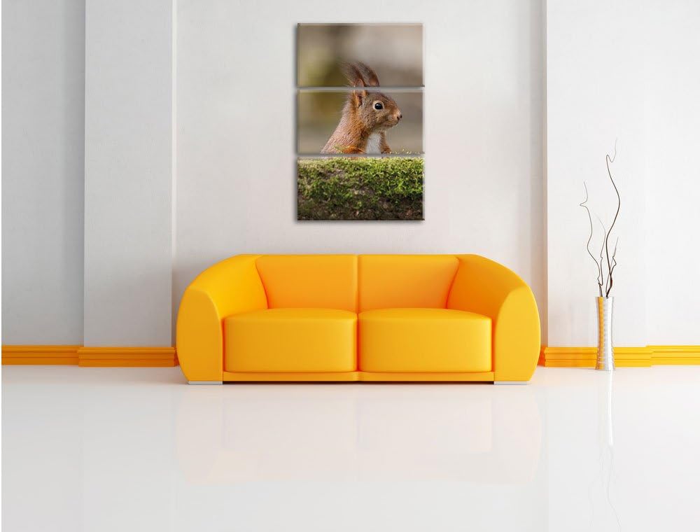 Pixxprint Eichhörnchen hinter Baumstamm als Leinwandbild/Grösse: 3 Teilig (120x80) cm/Wandbild/Kunst