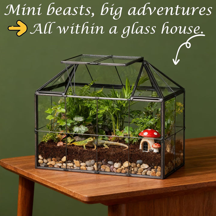 EFUTURETIME Mini Gewächshaus Fensterbank Glas 23,3 x 13,6 x 18cm Pflanzen Terrarium Klein Flaschenga