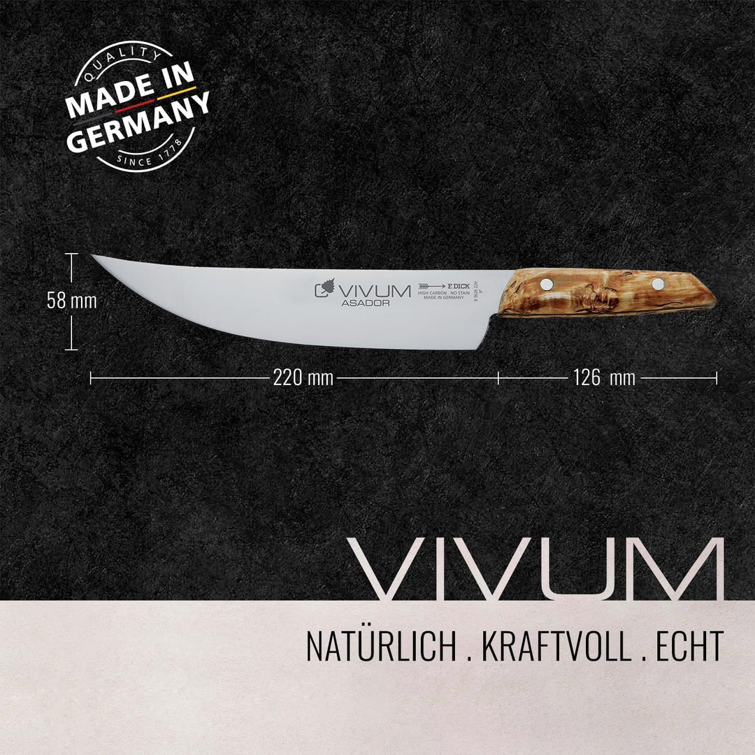 F. DICK BBQ Messer ASADOR VIVUM 22 cm - rostfrei, Klinge extra scharf, 58 HRC, Zerlegemesser Birkenh