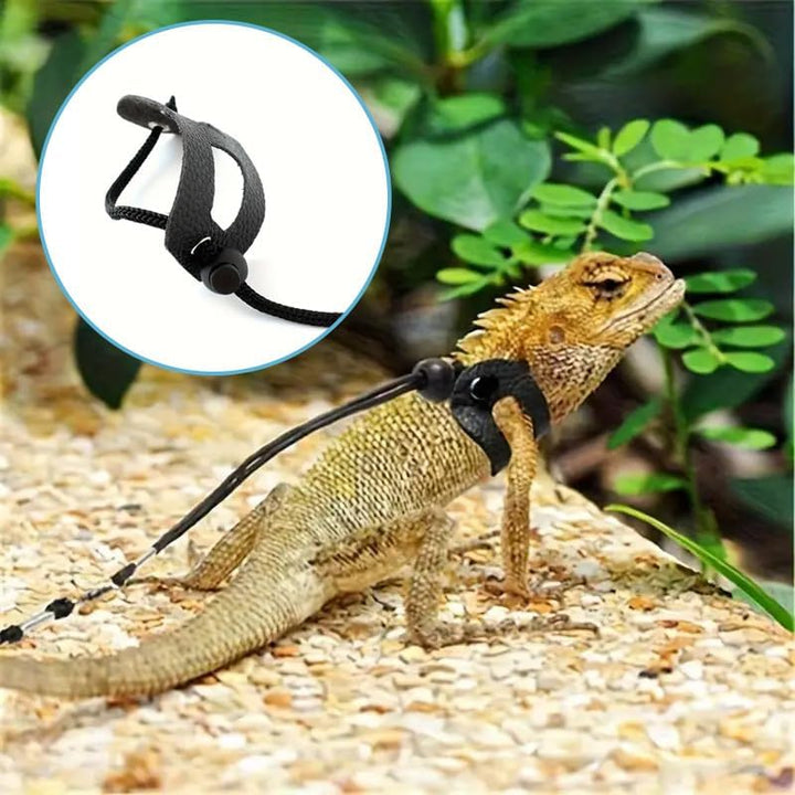Tragetasche für Kleintiere, kleine Tiertasche für Bartagamen, Eidechsen und Reptilien, mit verstellb