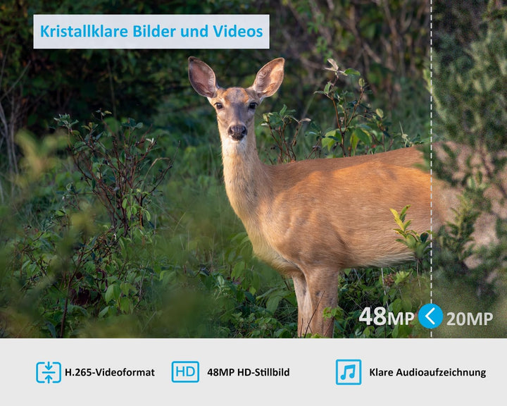 GardePro X20 4G LTE Wildkamera mit SIM-Karte und App, 48MP 1296P H.265 Video, No Glow Nachtsicht Bew